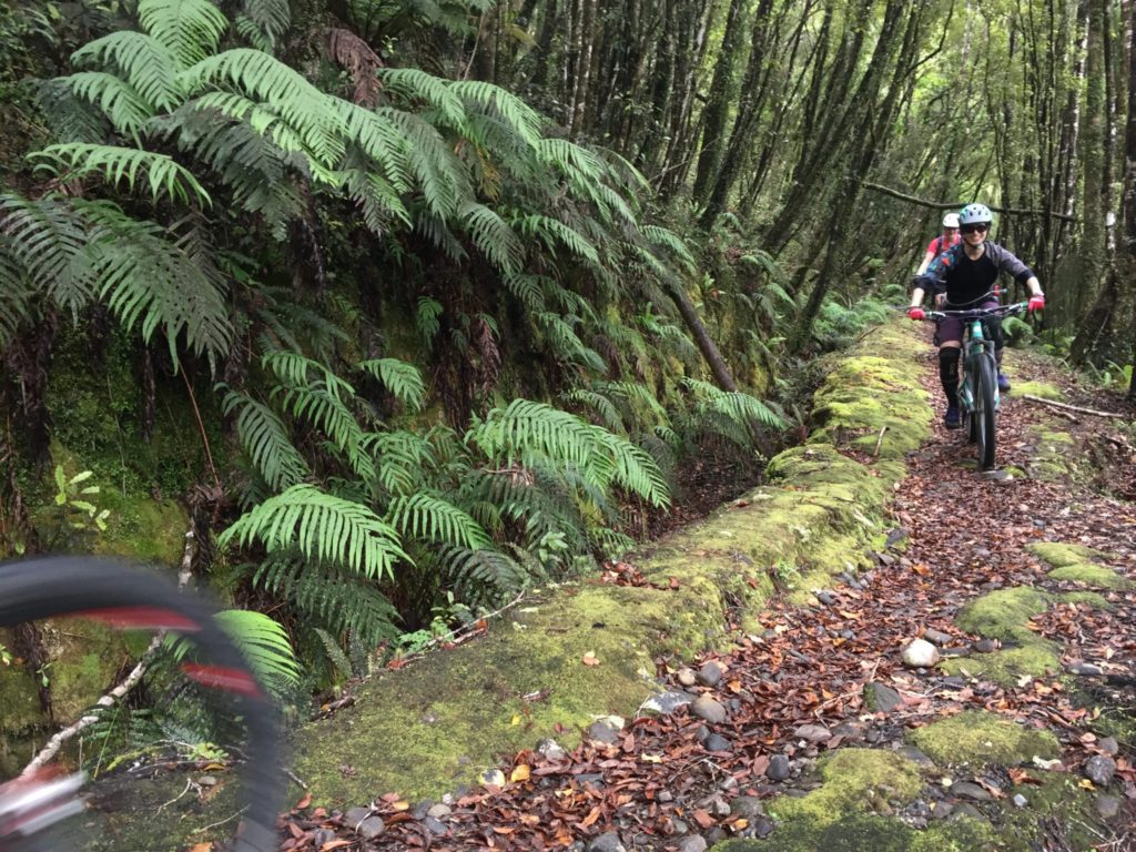 Best Mountain Biking Nelson NZ
